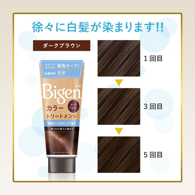 Hoyu Bigen Color Treatment Natural Brown 180g