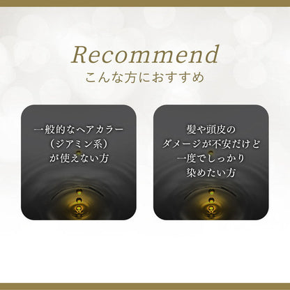 Hoyu Cielo Oil-In Hair Manicure Shiny Brown 100g + 3g + 10g