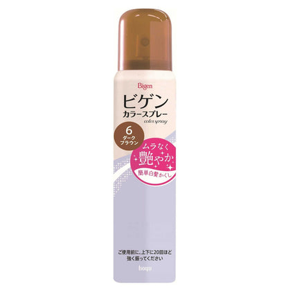 Hoyu Bigen Color Spray 6 Natural Brown 82g (125ml)