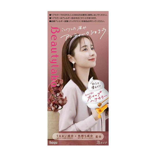 Hoyu Beauty Lab Whip Hair Color Antique Chocolate