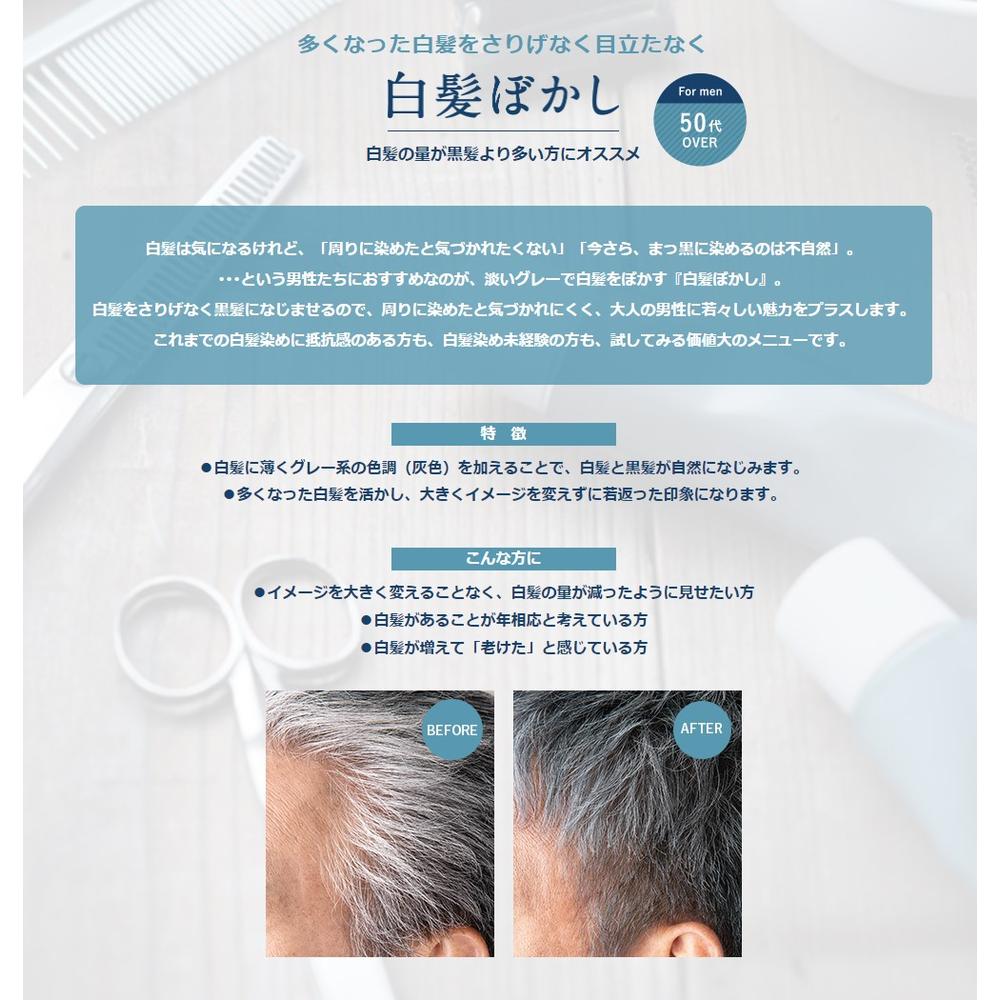 Hoyu Colorena Color Natural Gray 80g
