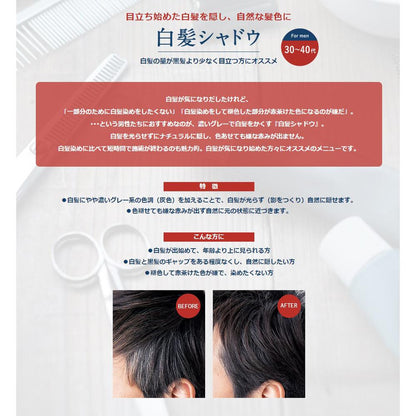 Hoyu Colorena Color Natural Gray 80g