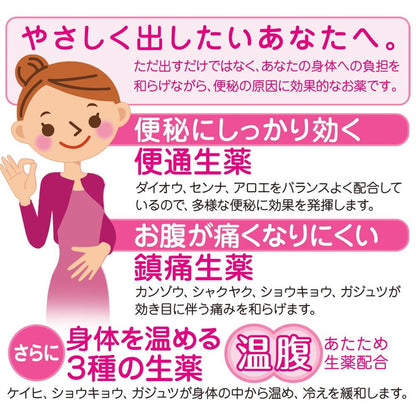 Shijitō Constipation Medicine 420 Tablets