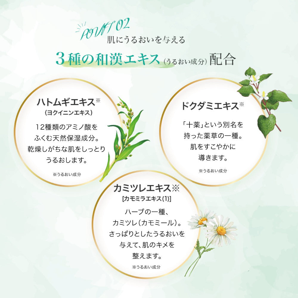 [Quasi-drug] Rohto Hada Labo Medicated Gokujyun Skin Conditioner Refill 170ml