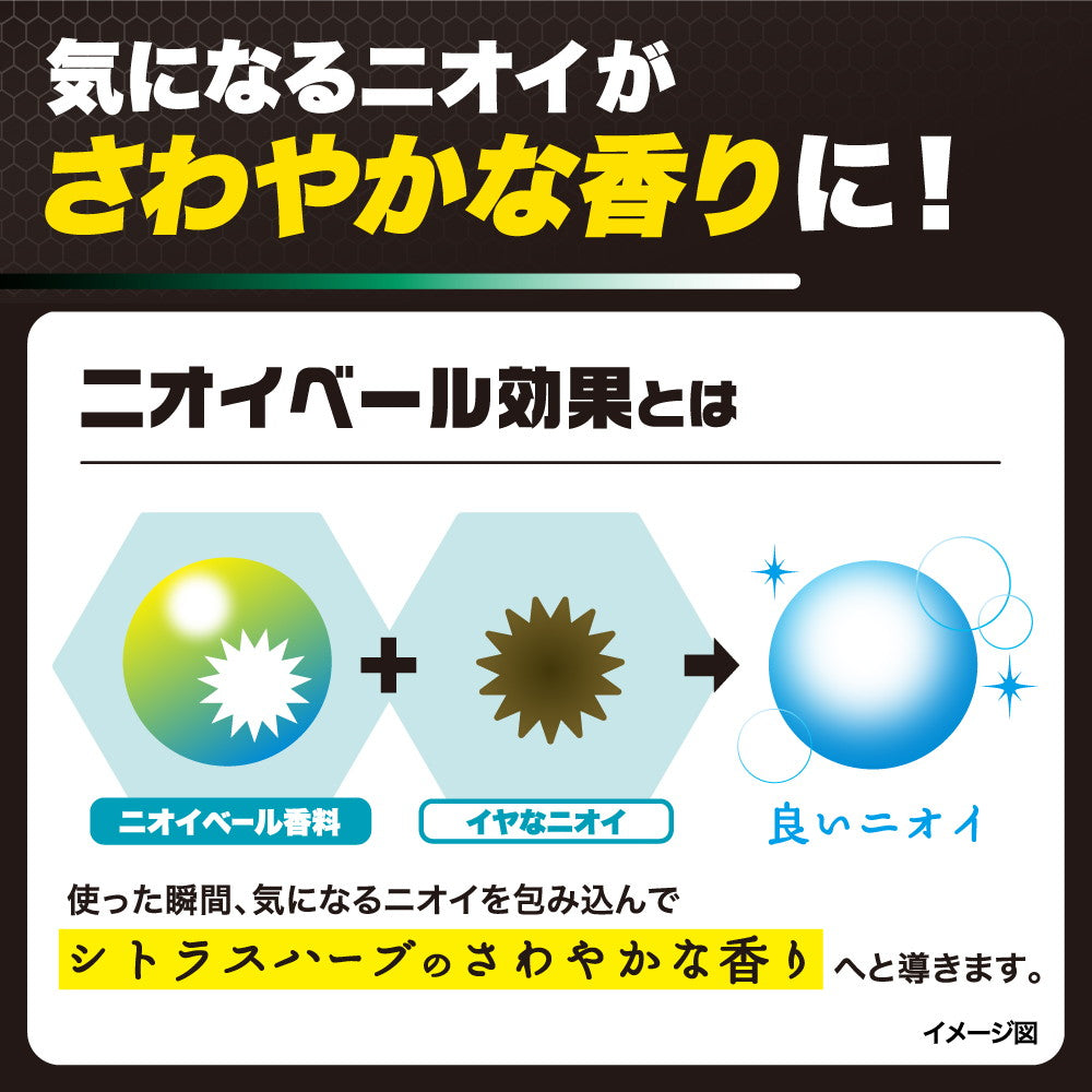 Rohto Deou Scalp Care Shampoo 400mL
