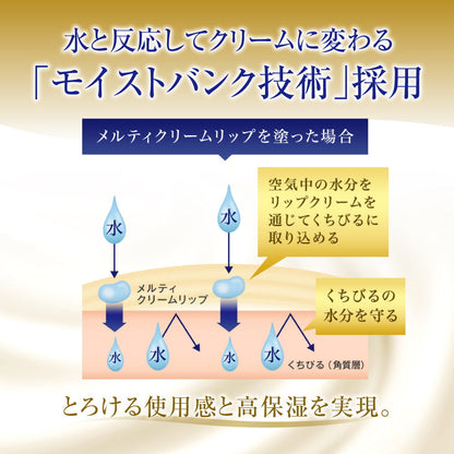 Rohto Mentholatum Melty Cream Lip Fragrance-Free 2.4g