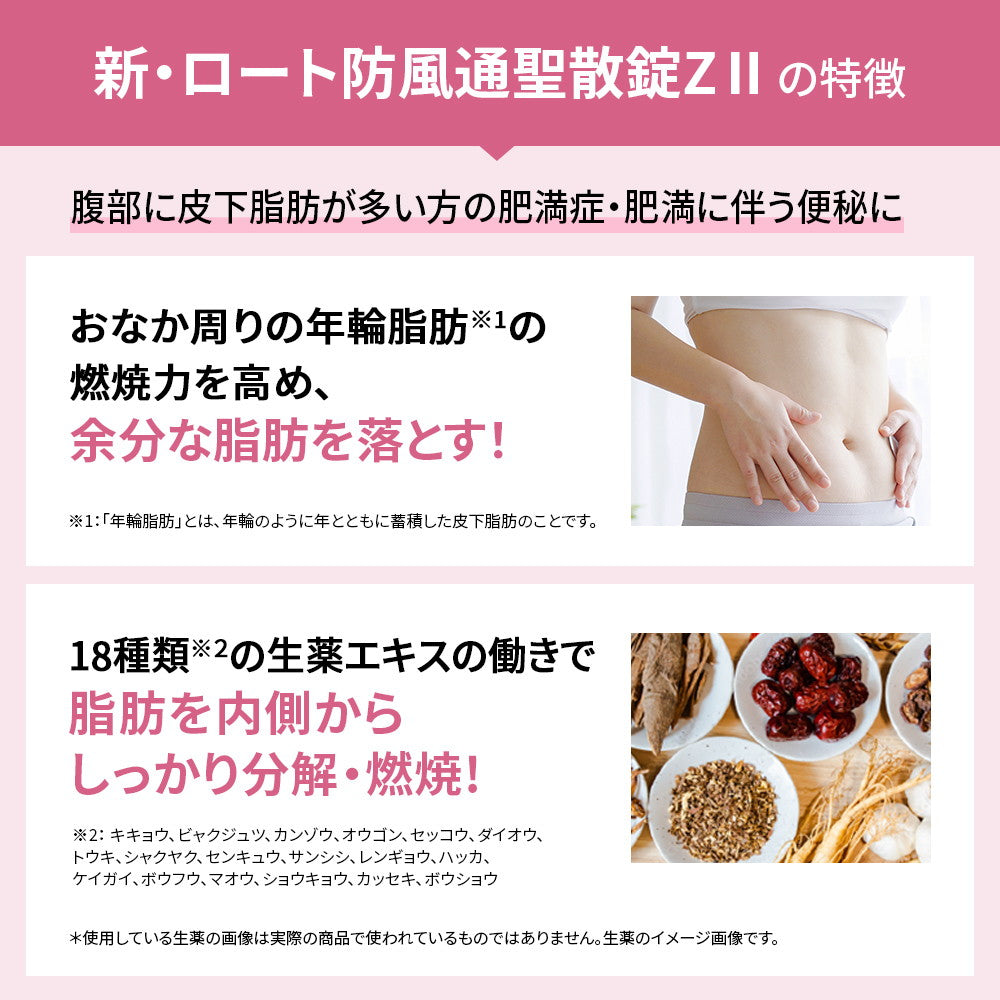 New Rohto Bofutotsusho Tablets Z II 210 Tablets