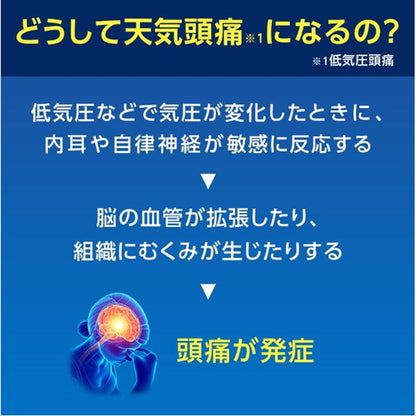 Rohto Pharmaceutical Wakan Sen Kia Guard 24 Tablets