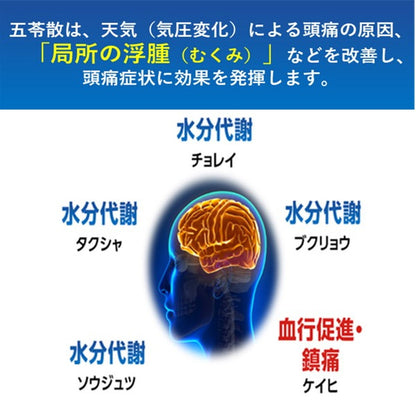 Rohto Pharmaceutical Wakan Sen Kia Guard 24 Tablets