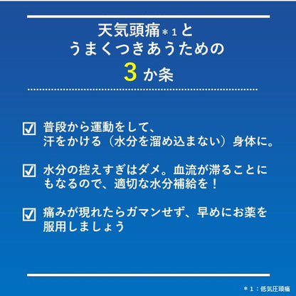 Rohto Pharmaceutical Wakan Sen Kia Guard 24 Tablets