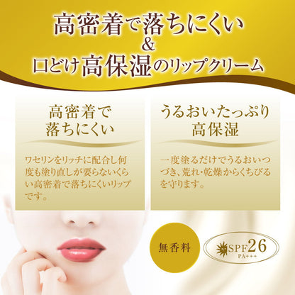Rohto Premium Melty Cream Lip Fragrance-Free 2.4g