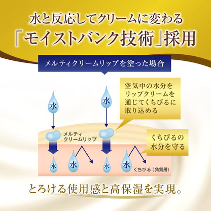 Rohto Premium Melty Cream Lip Fragrance-Free 2.4g