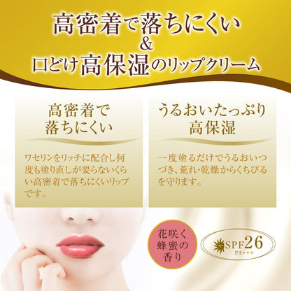 Rohto Premium Melty Cream Lip Honey 2.4g