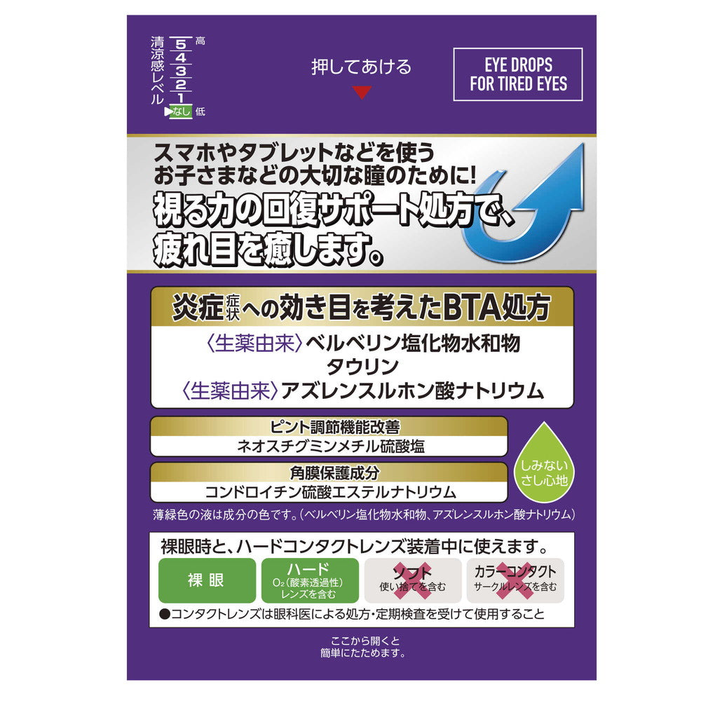 Rohto Eye Vision 13ml