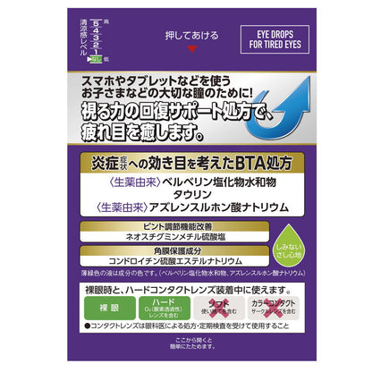 Rohto Eye Vision 13ml