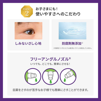 Rohto Eye Vision 13ml