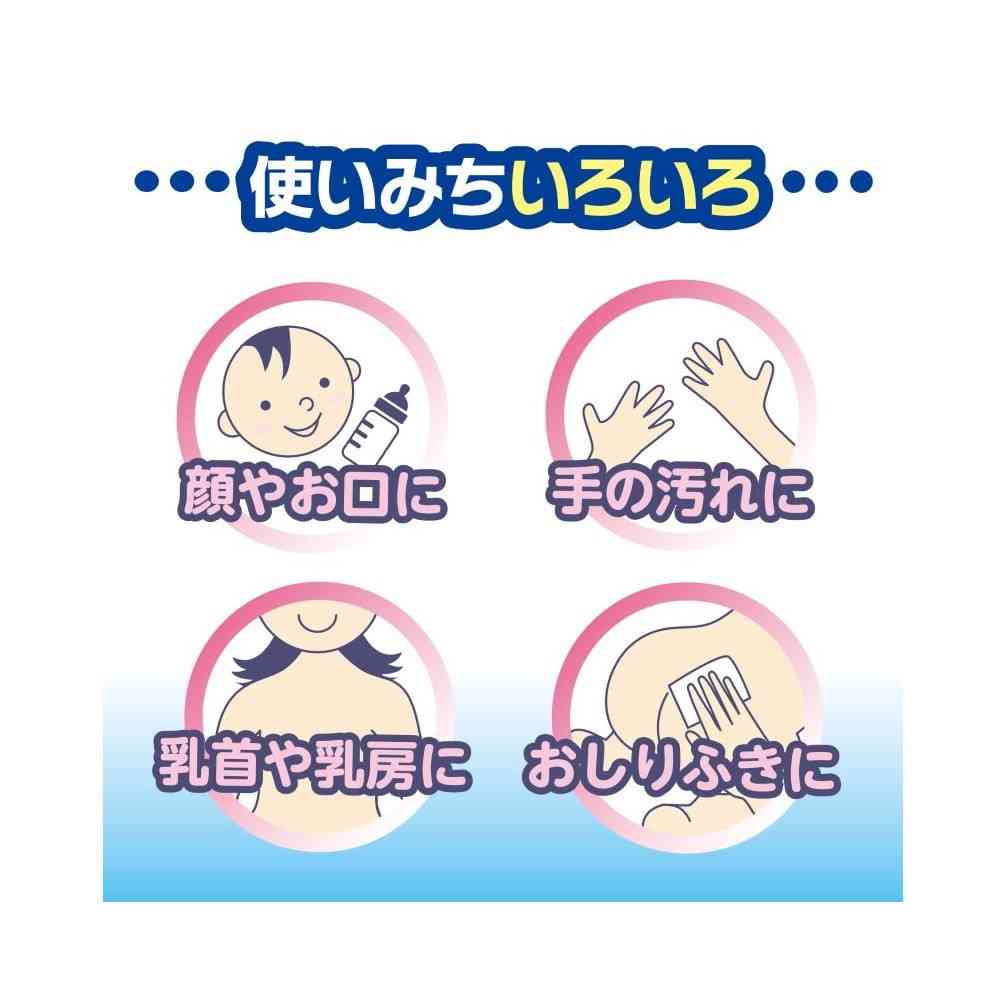 Hakujyuji FC Cleansing Wipes A2 100 Packs