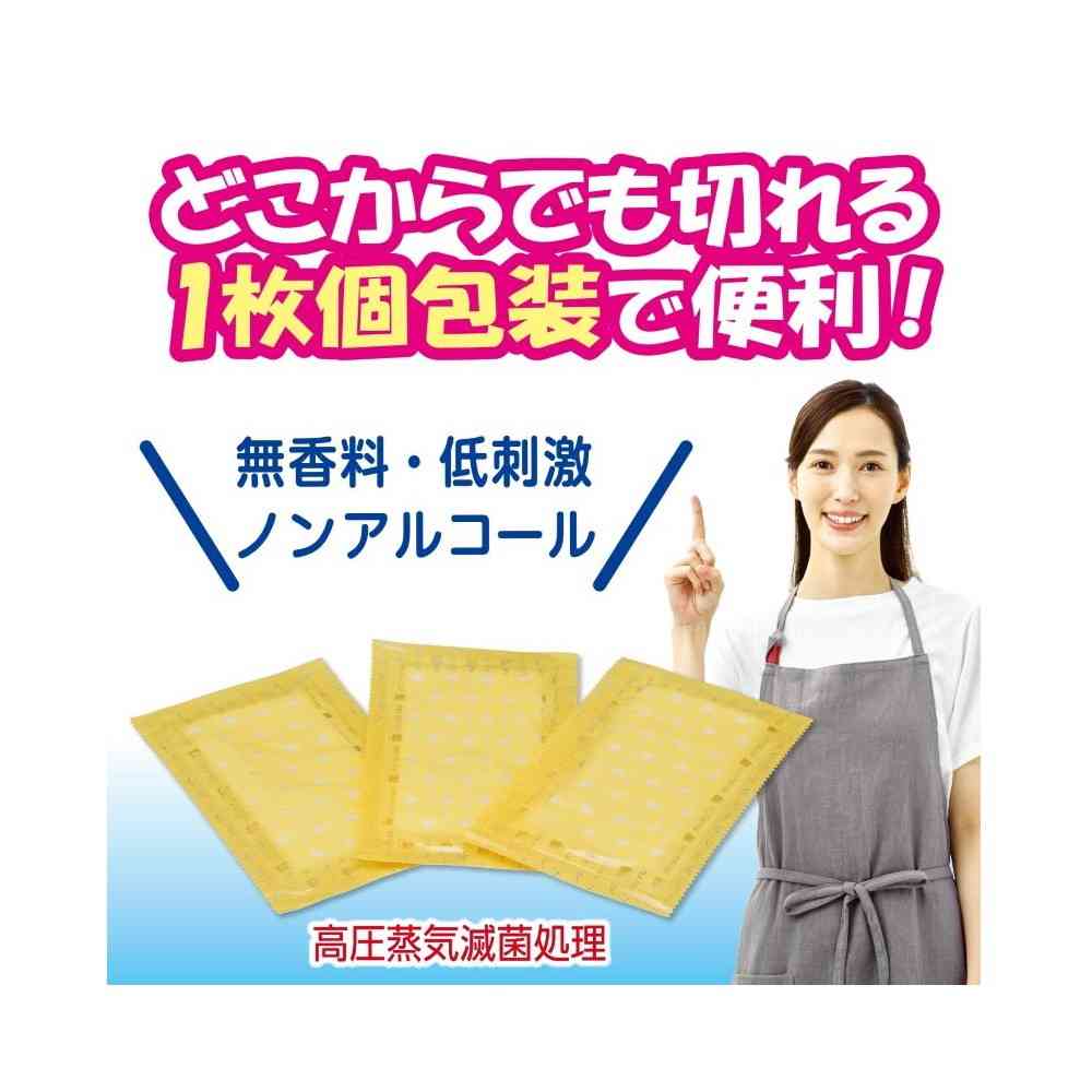 Hakujyuji FC Cleansing Wipes A2 100 Packs