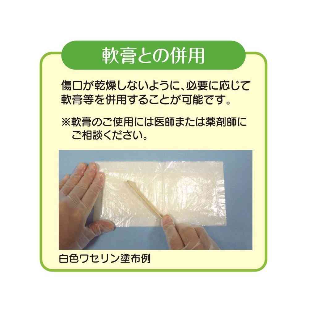 Shirojyuji FC Moist Skin Pad 7520 L 5 Sheets