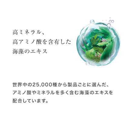Yamasaki La Sana Seaweed Mud Shampoo Refill 380ml