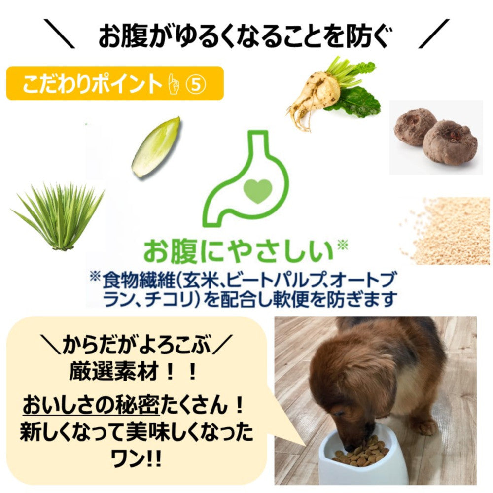 Earth Pet ChoiceS For Dogs Needing Diet Senior Dogs 7 Years and Older 1.1kg