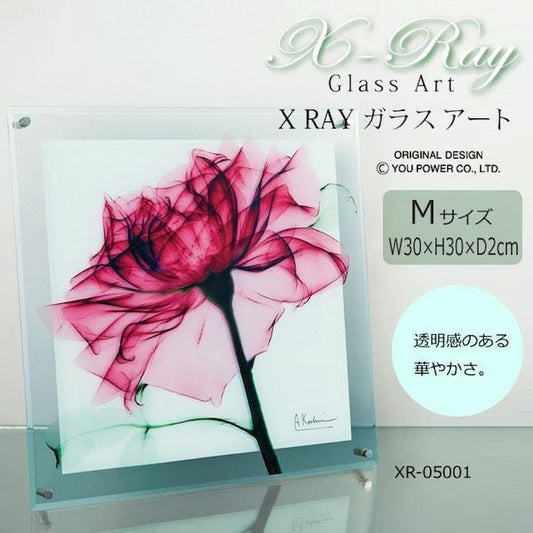 X RAY Glass Art Teal Rose M Size XR-05001