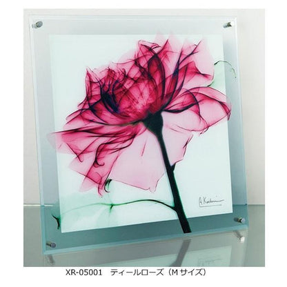 X RAY Glass Art Teal Rose M Size XR-05001