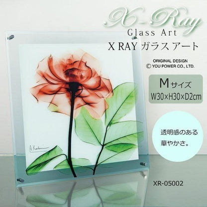 X RAY Glass Art Rose M Size XR-05002