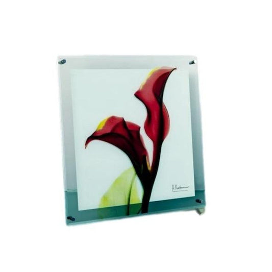 X RAY Glass Art "Color Red" M Size XR-05005