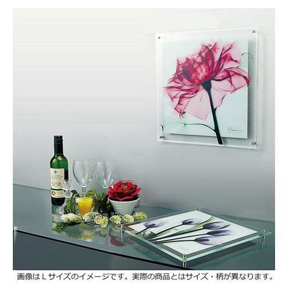 X RAY Glass Art Eucalyptus M Size XR-05010