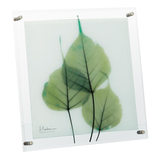X RAY Glass Art "Green Eucalyptus" M Size