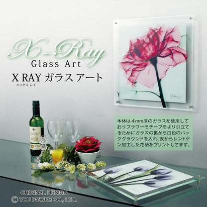 X RAY Glass Art M "Colorful Eucalyptus"