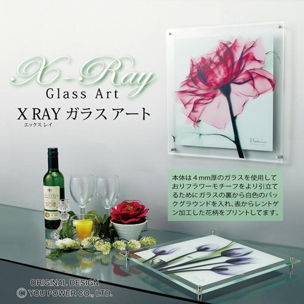 X RAY Glass Art M "Blue Light Tulip"