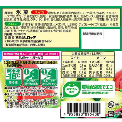 Lotte Watermelon & Melon Bar 420ml x 9