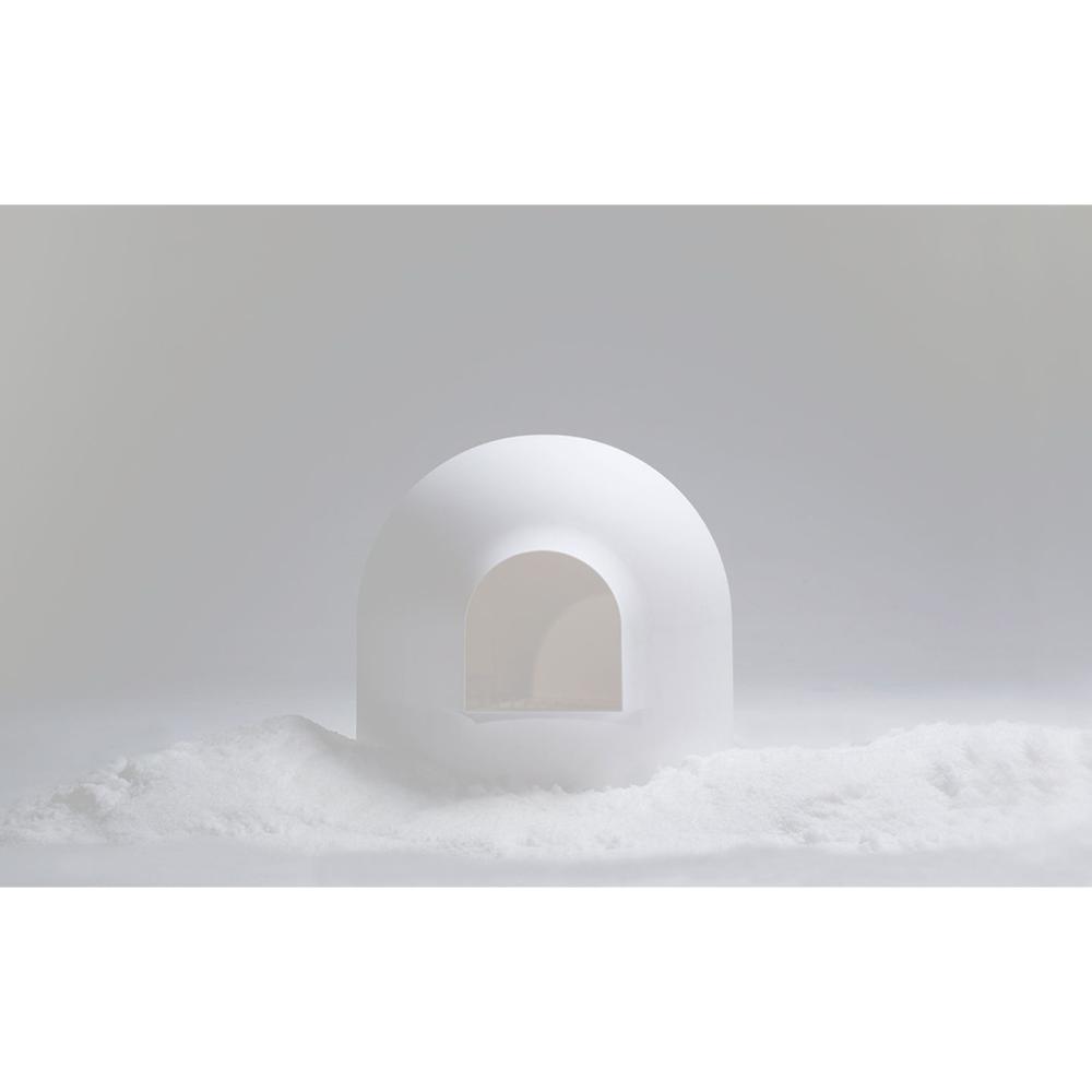 Cat Toilet Snow Dome Type