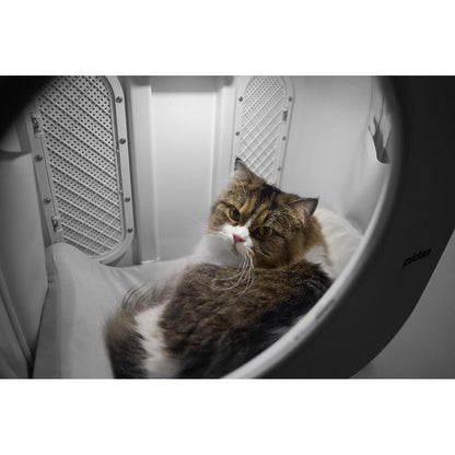 Cat Travel Box