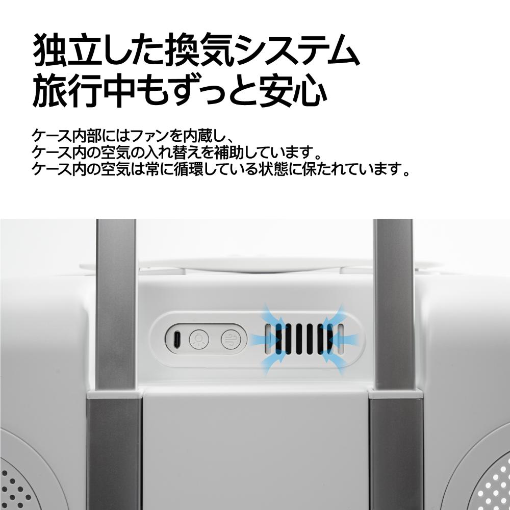 Cat Travel Box
