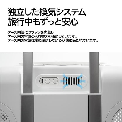 Cat Travel Box