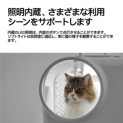 Cat Travel Box