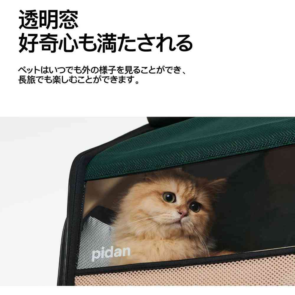 Pet Folding House-Shaped Travel Backpack