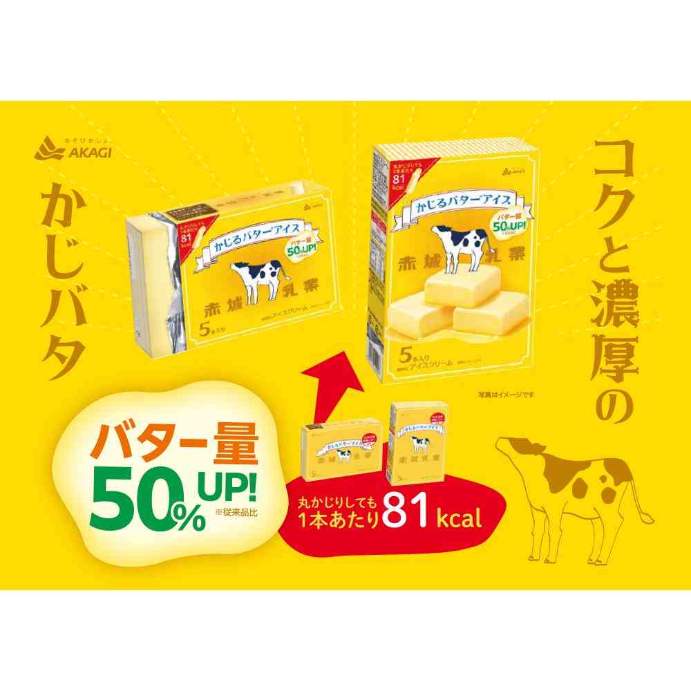 Akagi Dairy Bite Butter Ice Cream 40ml x 5 x 8 (Direct Shipping, Cool Delivery)