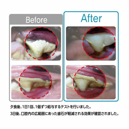 Denti 3 Fairy SS 14 pieces / 65g