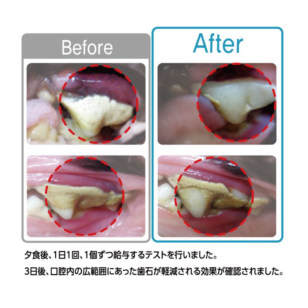 Denti 3 Fairy EX L 5 pieces / 120g