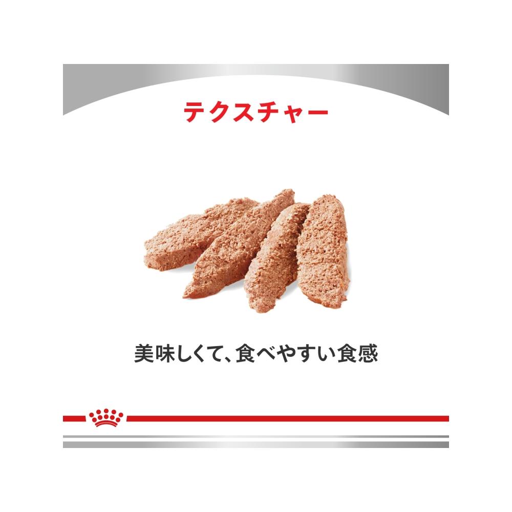 Dog Urinary S/O + Aging 7+ Pouch 85g x 12 x 2