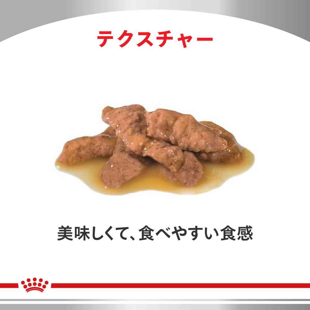 Cat Urinary S/O + Aging 7 + CLT Pouch 85g x 12