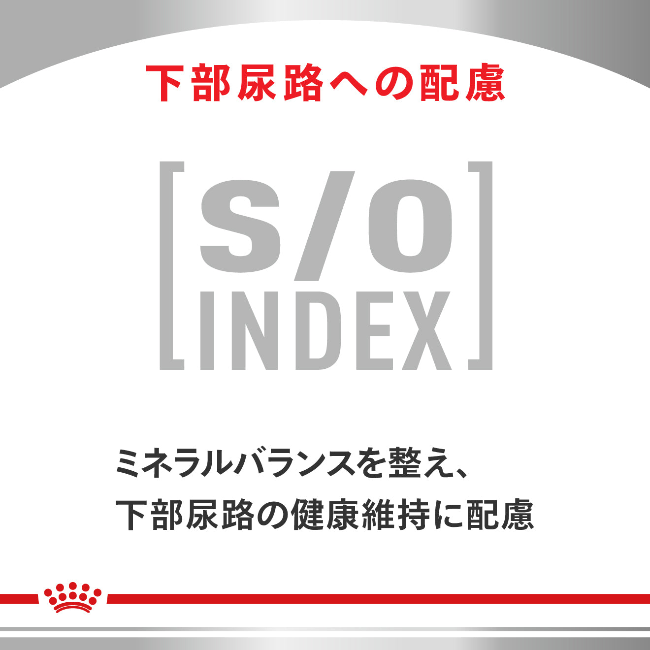Cat Select Protein Chicken & Rice 85g x 12
