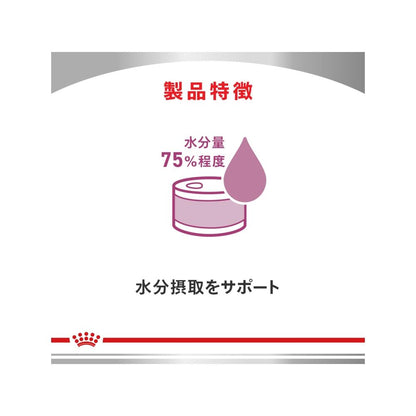 Dog Kidney Support 200g x 12